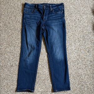 American Eagle Outfitters Dark Blue Skinny Jeans